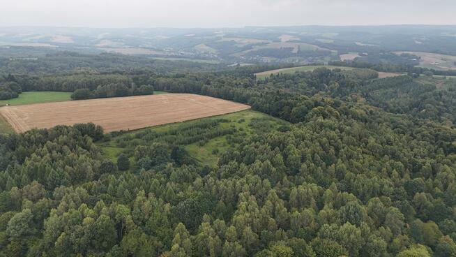 Działka rolna Nowa Wieś gm. Czudec