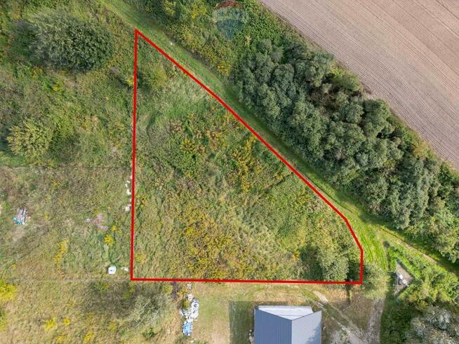 Działka budowlana koło Poznania, jezioro i las