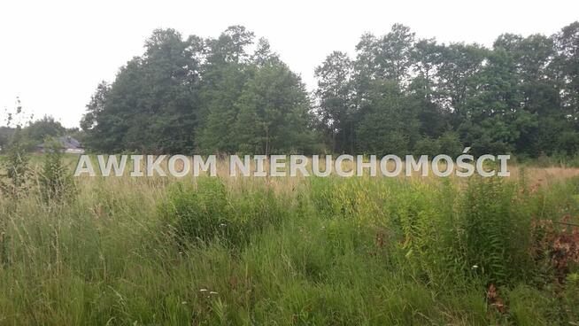 Działka budowlana Radziejowice Adamów-Wieś