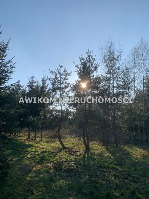 Działka usługowa Adamowice gm. Mszczonów