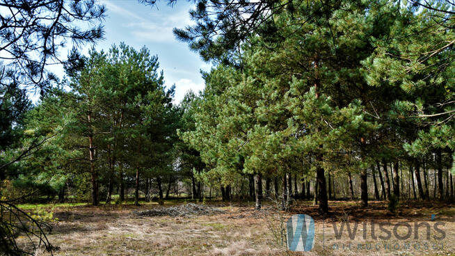 Działka rekreacyjna Ludwinów gm. Dąbrówka,