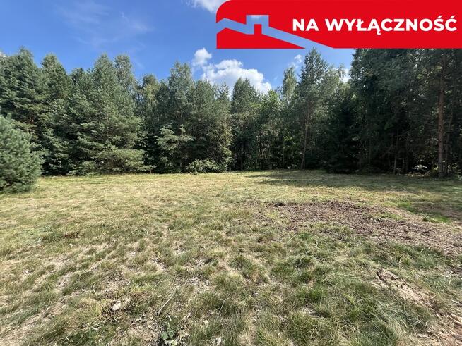 Działka budowla 3117 m2 w Kowali gm. Puławy.