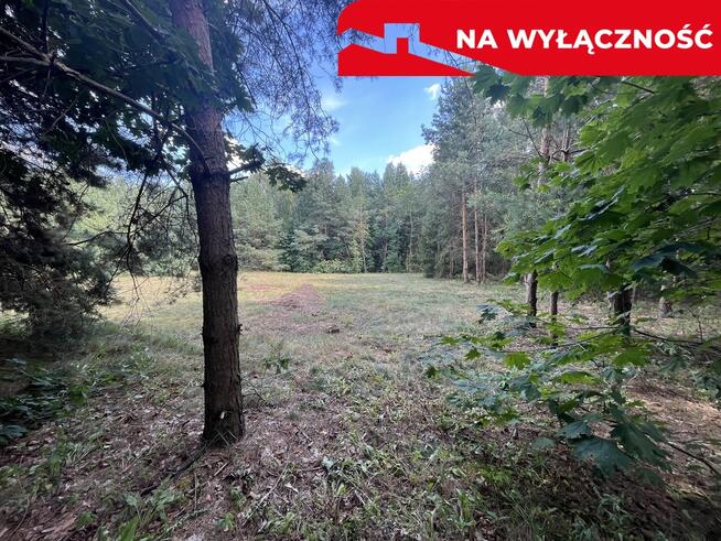 Działka budowla 3117 m2 w Kowali gm. Puławy.