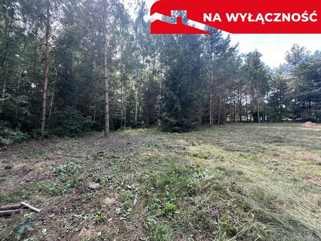 Działka budowla 3117 m2 w Kowali gm. Puławy.