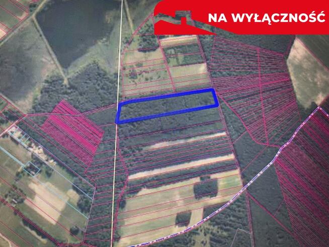 Działka leśna 3,90 ha w Brodach gm. Pierzchnica.