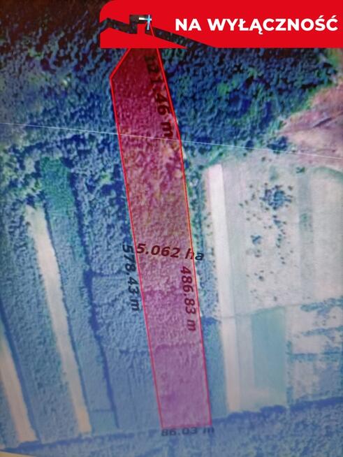 Działka leśna 3,90 ha w Brodach gm. Pierzchnica.