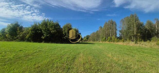 Stara chata na końcu świata