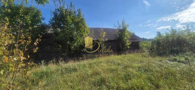 Stara chata na końcu świata