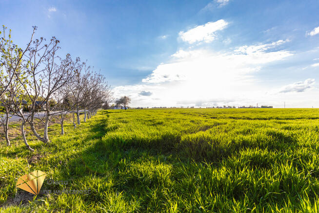 Działka siedliskowa Piotrkówek gm. Krzczonów,