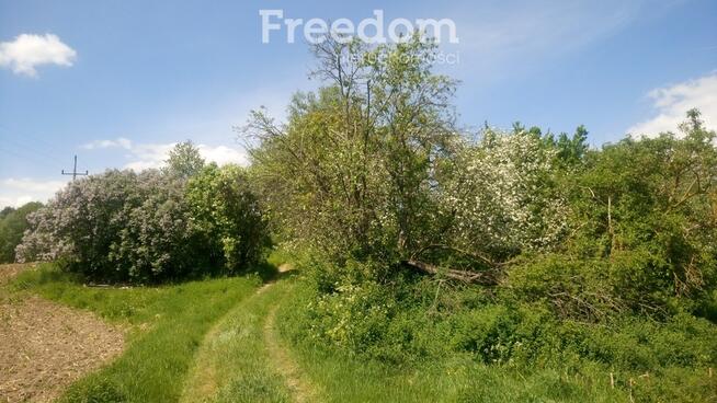Duże malownicze siedlisko