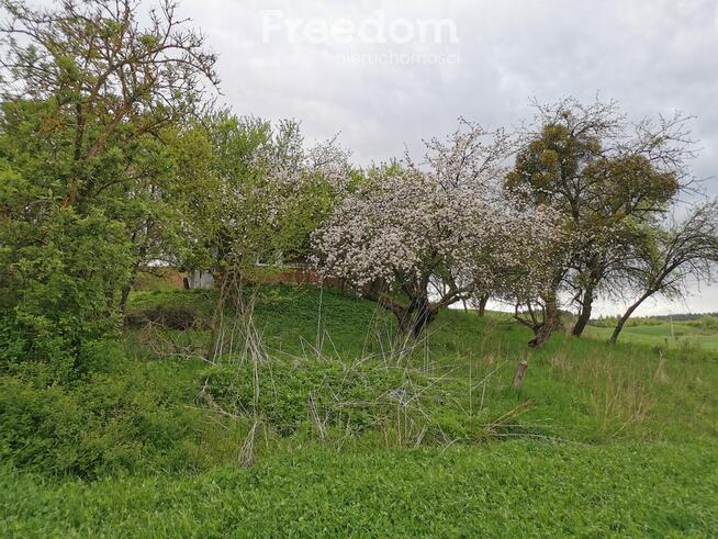 Duże malownicze siedlisko