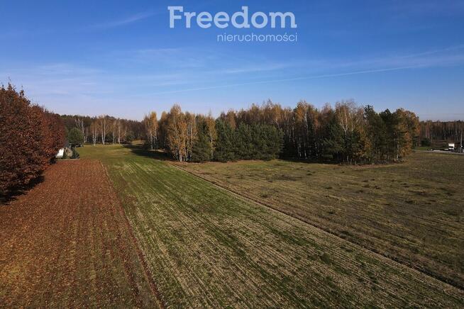 Zielona działka 28,83a w Tarnobrzegu, Ocice