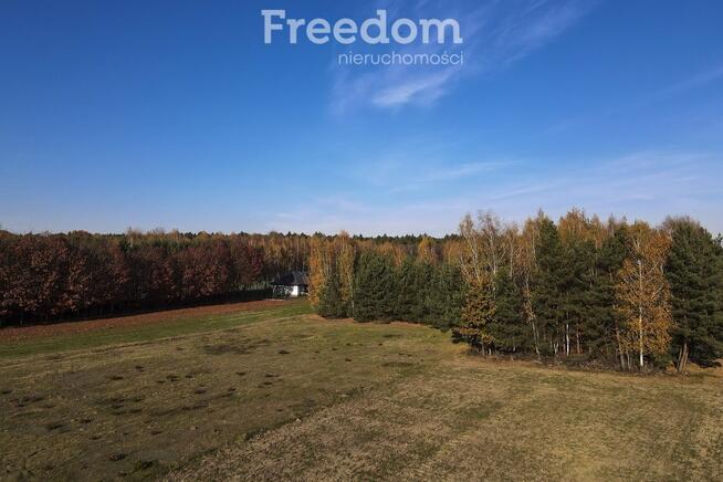 Zielona działka 28,83a w Tarnobrzegu, Ocice