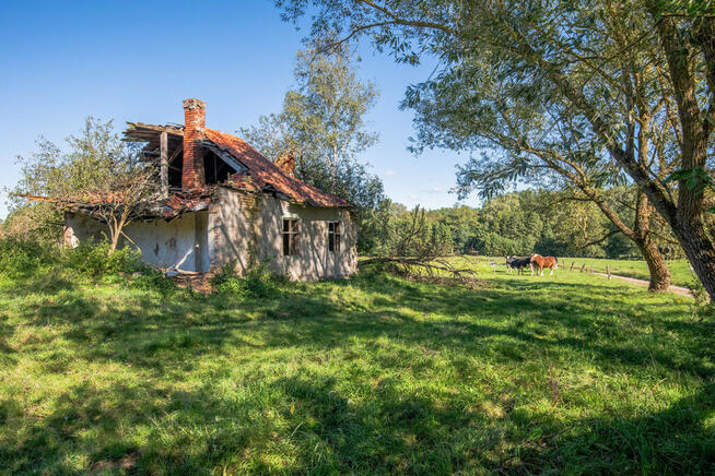 ✅Sprawdź>>Działka w sercu Mazur✅