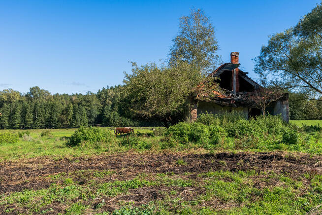 ✅Sprawdź>>Działka w sercu Mazur✅