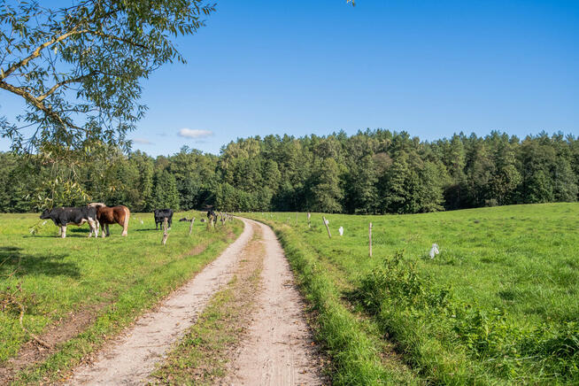 ✅Sprawdź>>Działka w sercu Mazur✅