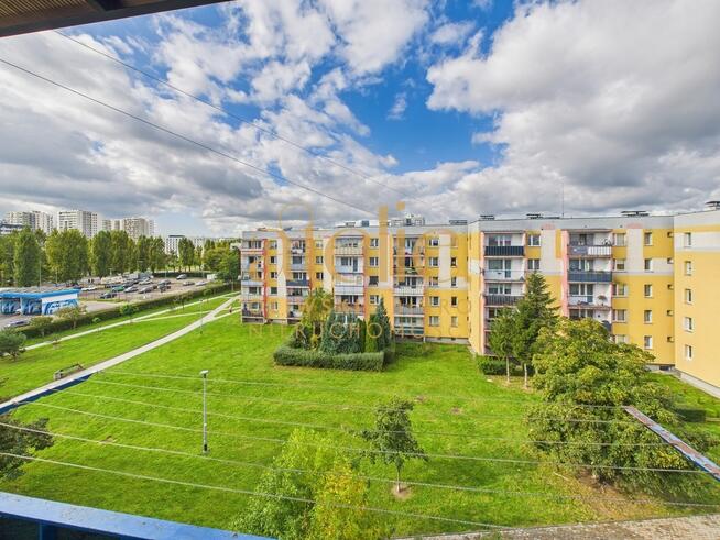 Dwa kroki od parku, trzy od plaży