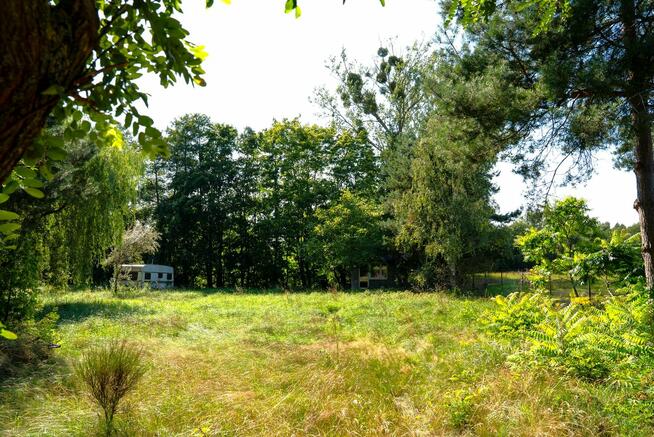 Na sprzedaż budowlana działka 5000 m z wykopanym stawem