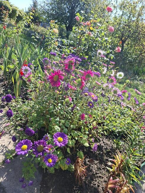 Działka Rod na sprzedaż