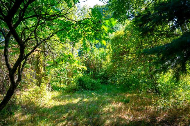 Na sprzedaż budowlana działka 5000 m z wykopanym stawem
