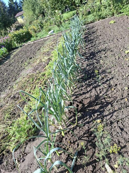 Działka Rod na sprzedaż