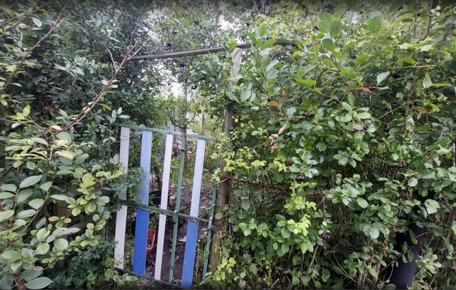 NOWA CENA !!! dzialka ROD Sloneczny Reda obwodowa 302m2