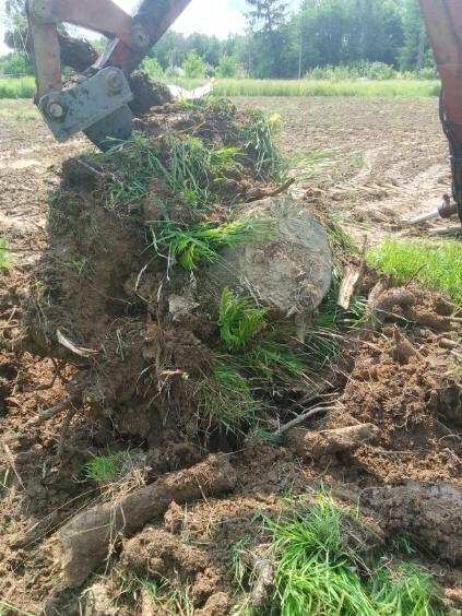 Koparko ładowarka MTZ 4x4 (JCB MF casse