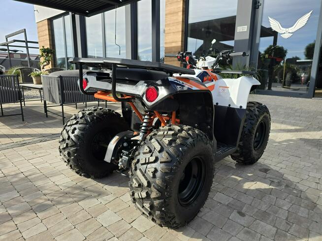 KAYO Inny SALON MOTOCYKLOWY MOTOEAGLES Kayo AU125 Sprawdż ofertę i Serwis