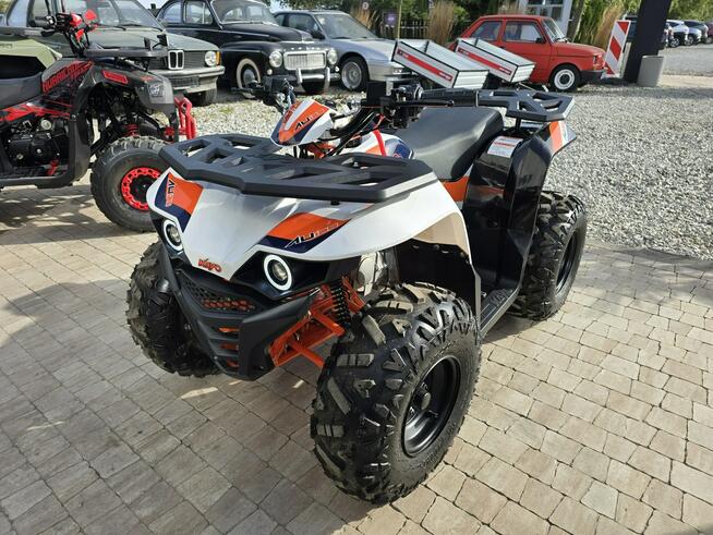 KAYO Inny SALON MOTOCYKLOWY MOTOEAGLES Kayo AU125 Sprawdż ofertę i Serwis