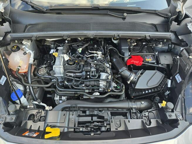 Ford Puma 1.0 | Niski przebieg 8 tys !!! | Stan BDB | Zarejestrowany