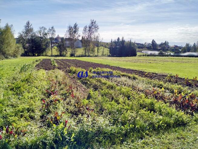 Działka rolna - Hyżne