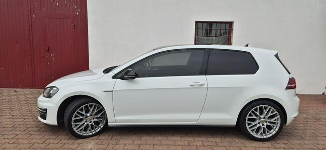 Volkswagen Golf Zarejestrowany