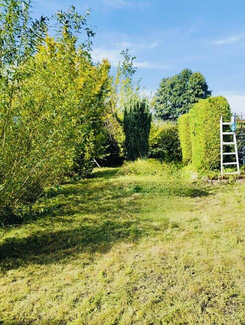 Sprzedam ogródek działkowy