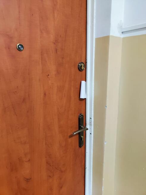 Ulotki 6 godz dziennie