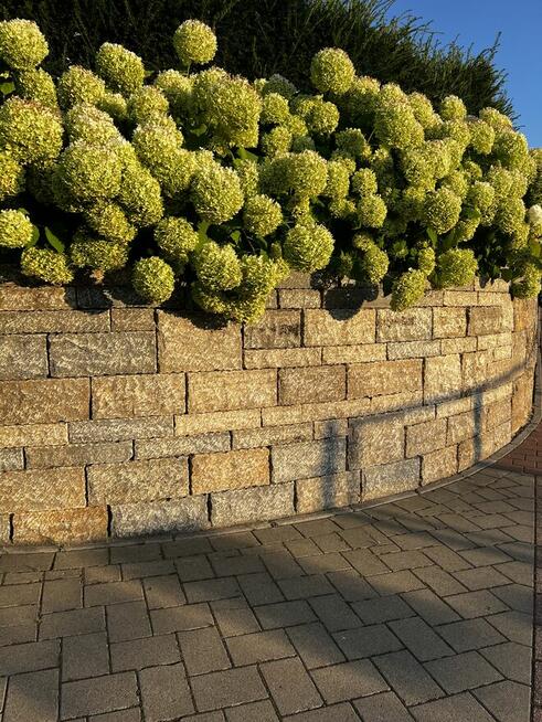 Glebogryzarka separacyjna, niwelacja terenu, trawnik,