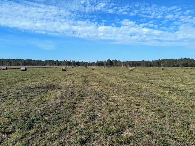 10 dużych działek rekreacyjnych blisko jeziora Roś, Pilchy