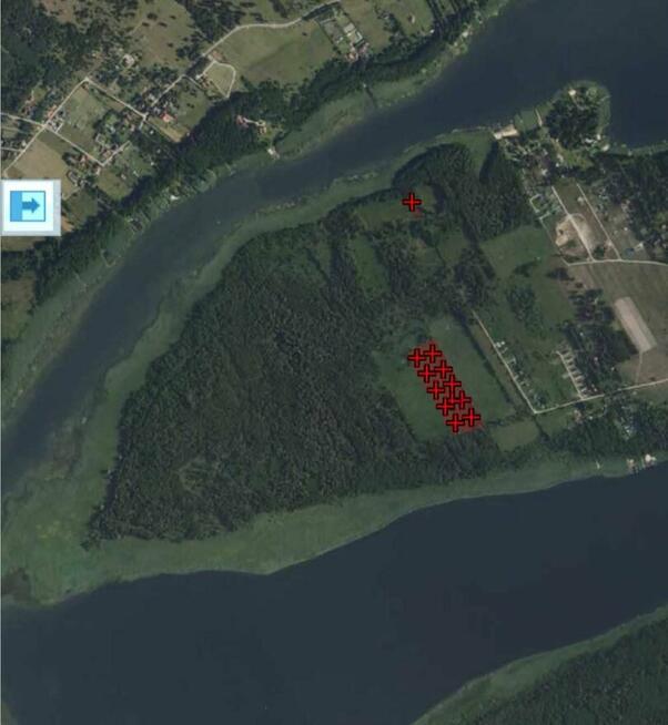 10 dużych działek rekreacyjnych blisko jeziora Roś, Pilchy