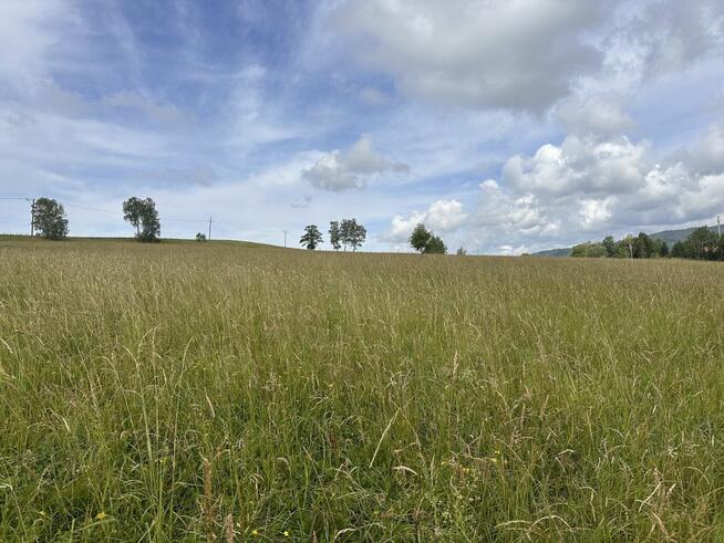 Działka budowlana Ciechanowice gm. Marciszów,