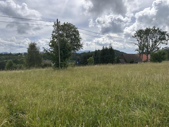 Działka budowlana Ciechanowice gm. Marciszów,