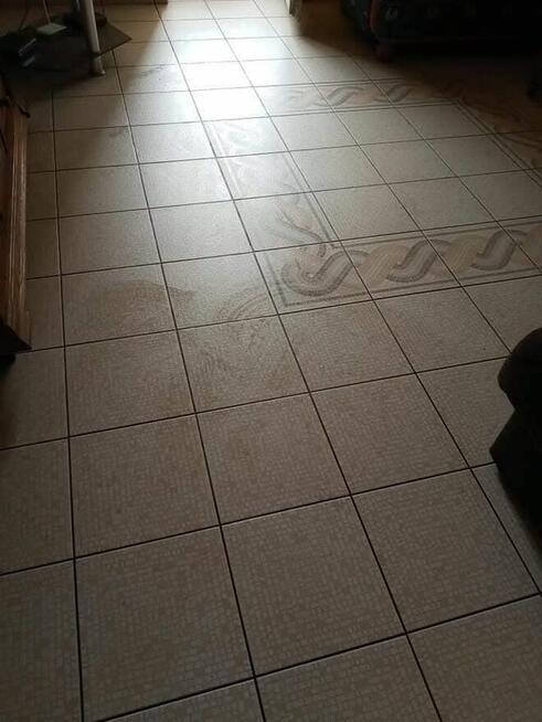 Sprzątanie mieszkań domów lokali biur