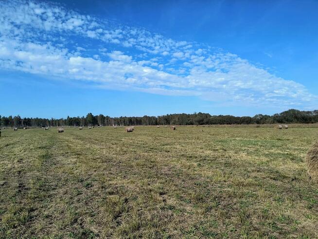 10 dużych działek rekreacyjnych blisko jeziora Roś, Pilchy