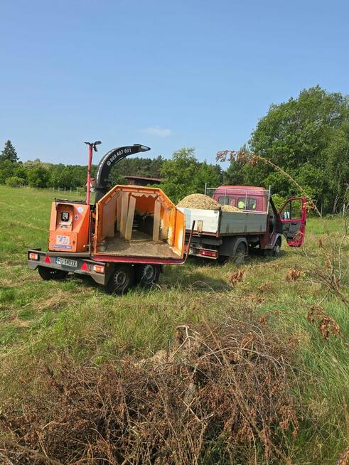 Usługi Rębakiem, Wycinka drzew