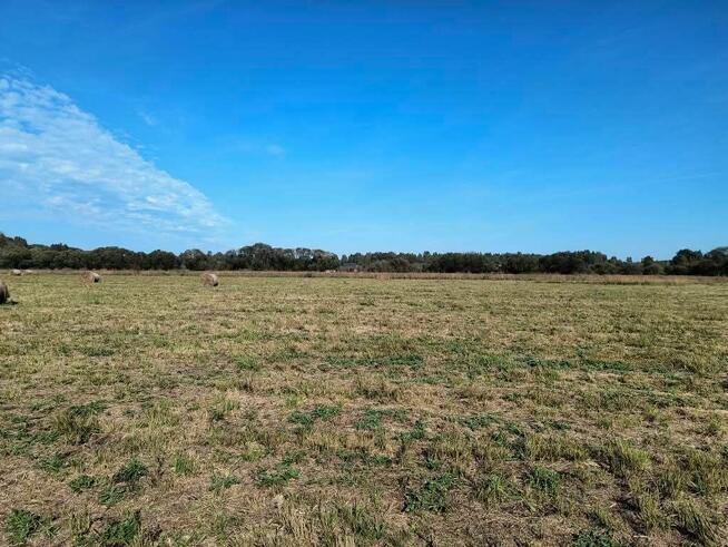 10 dużych działek rekreacyjnych blisko jeziora Roś, Pilchy