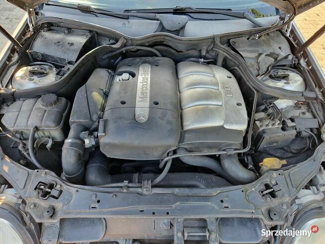 Mercedes-Benz Sprawny do drobnych poprawek!