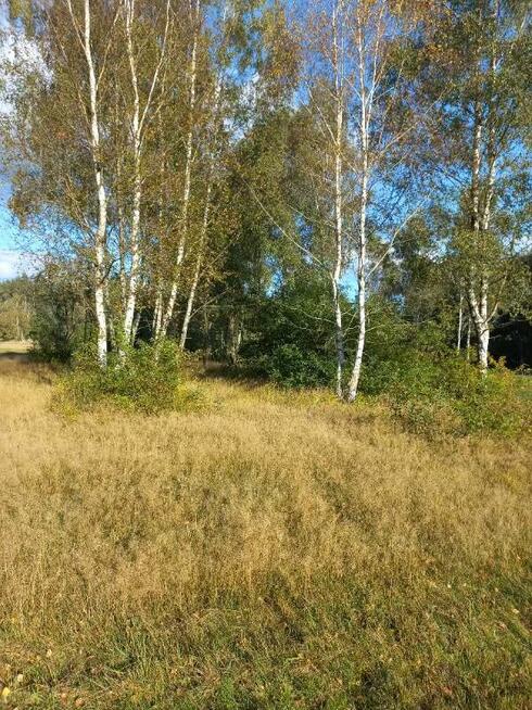 Sprzedam działkę budowlaną