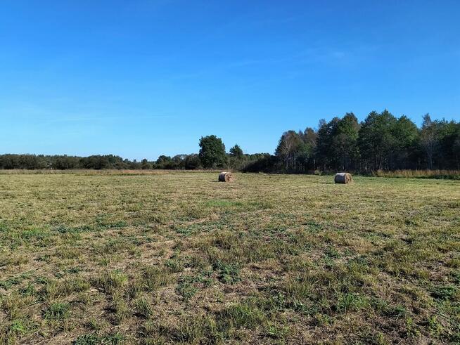 10 dużych działek rekreacyjnych blisko jeziora Roś, Pilchy