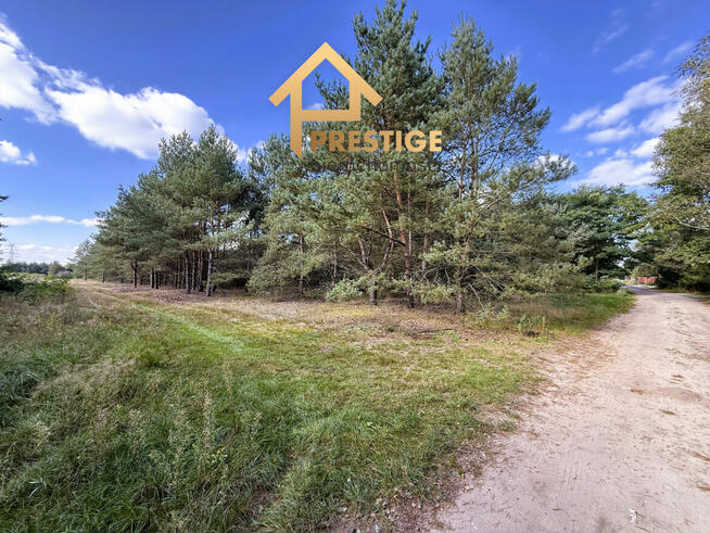 Działki budowlane 1100m2 na sprzedaż Rosocha-Kolonia