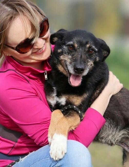 Wspaniała Gienia szuka domu!