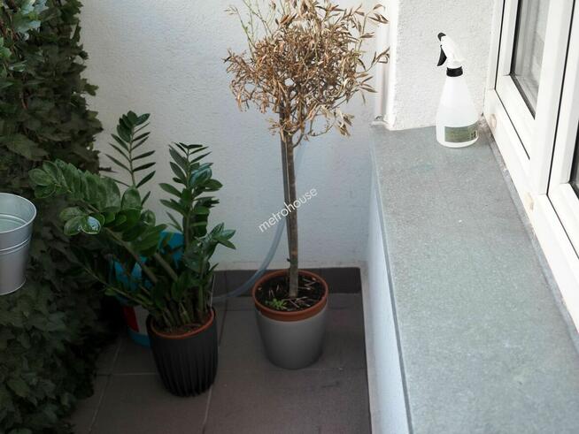 3 pokoje Widzew sprzedam