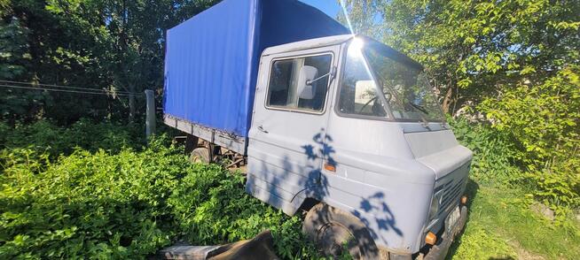 ☆SPRZEDAM ŻUCZKA☆